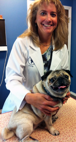 Angela Erickson, DVM and dog acupuncture patient, Wilma
