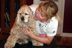 Veterinarian: examination: dog