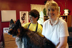 Veterinary canine acupuncture treatment