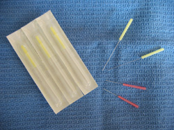 Dog Acupuncture Veterinarian in Connecticut