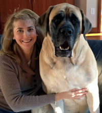 Angela Erickson-Greco, DVM, certified veterinary acupuncturist, animal chiropractic vet, regenerative stem cell therapy veterinarian